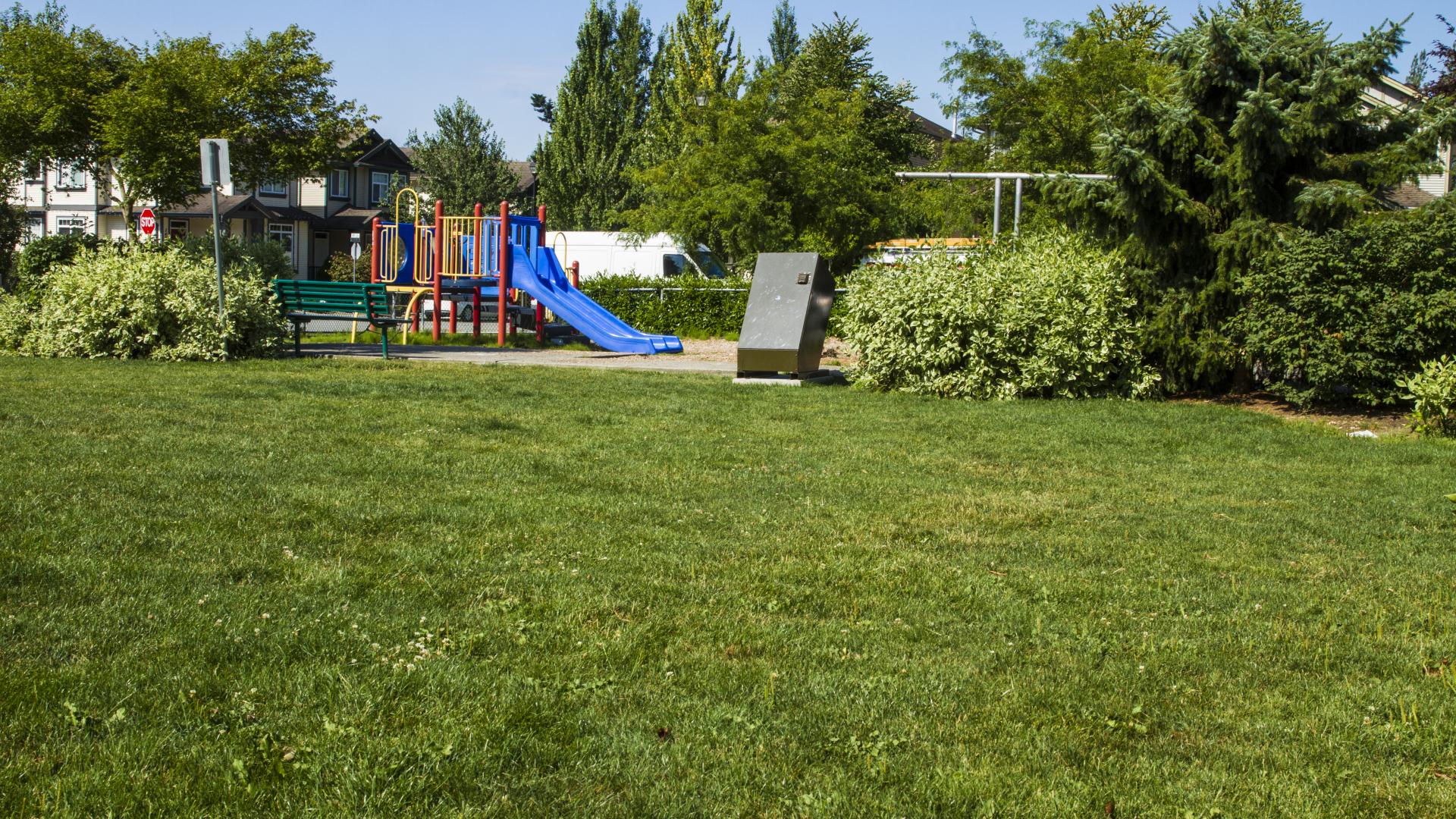 A large grassy area. A small garden of bushes separates the playground area.